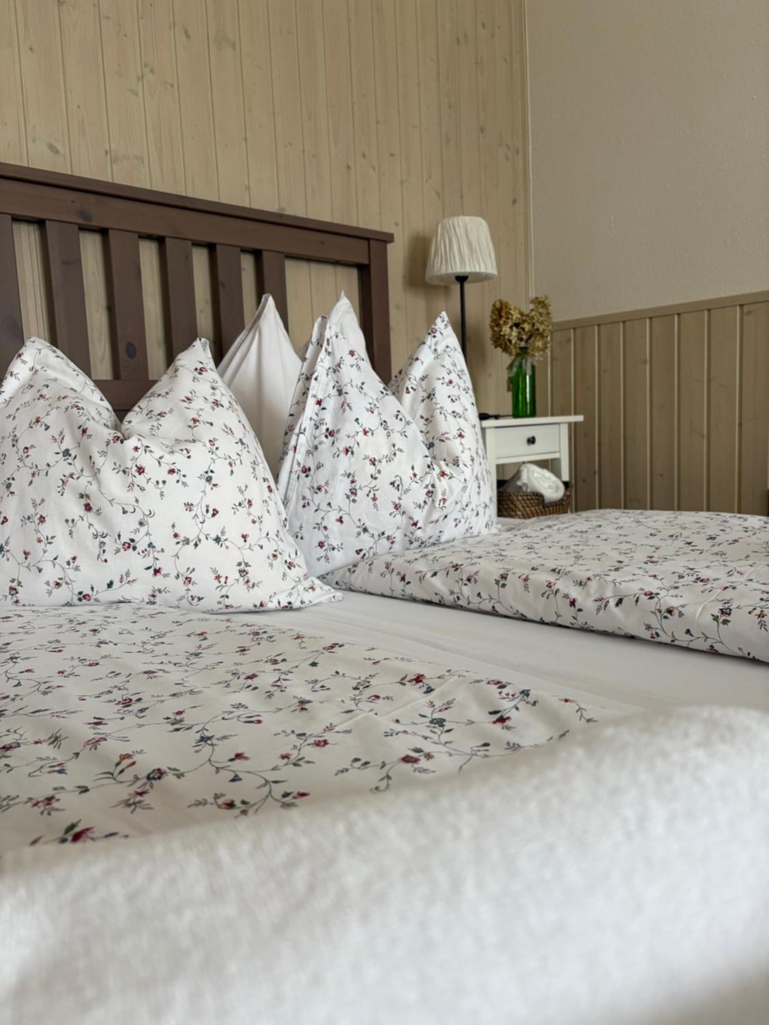 Huber Panzio Bed and Breakfast Fertőrákos Buitenkant foto