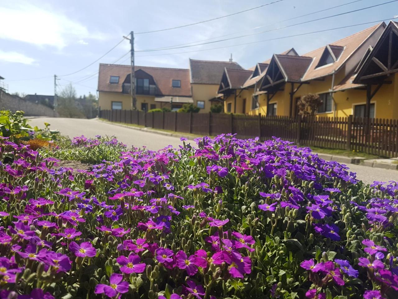 Huber Panzio Bed and Breakfast Fertőrákos Buitenkant foto